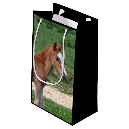 Petit Sac Cadeau Cheval (Dos Angle)