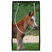 Petit Sac Cadeau Cheval (Devant)