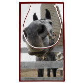 Petit Sac Cadeau Cheval mignon (Dos)