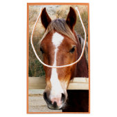 PETIT SAC CADEAU CHEVAUX (Dos)