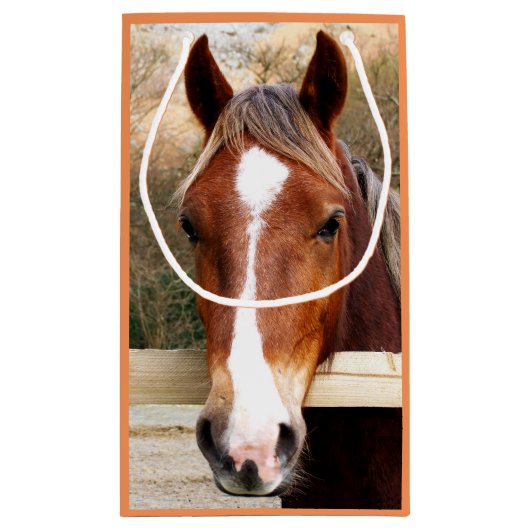 PETIT SAC CADEAU CHEVAUX (Dos)