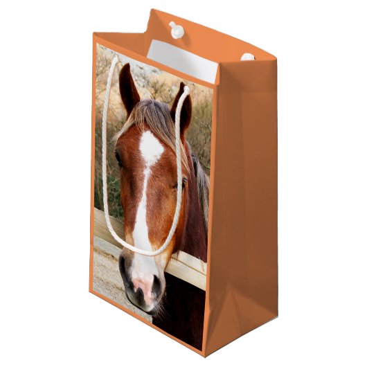 PETIT SAC CADEAU CHEVAUX (Devant Angle)