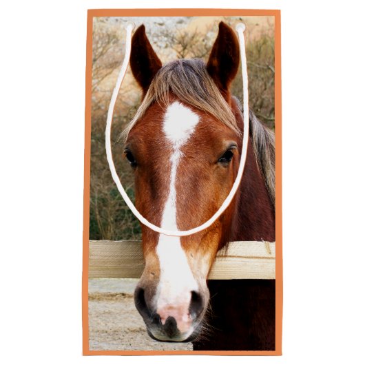 PETIT SAC CADEAU CHEVAUX (Devant)