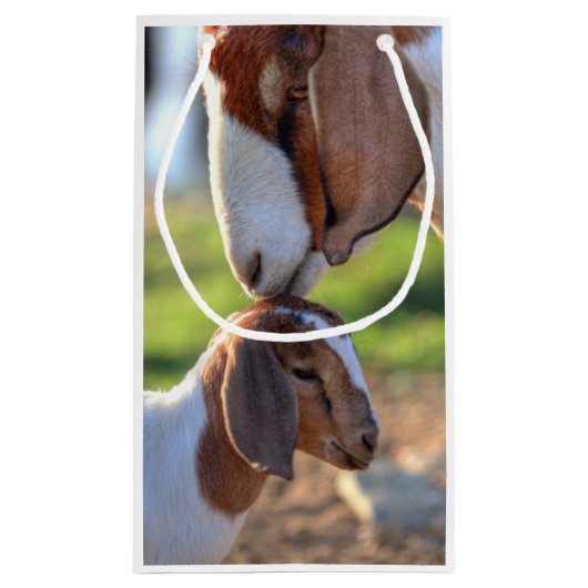 Petit Sac Cadeau Chèvre et bébé de mère (Dos)