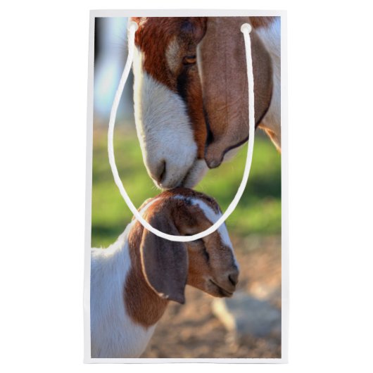 Petit Sac Cadeau Chèvre et bébé de mère (Devant)