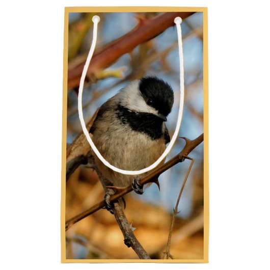Petit Sac Cadeau Chickadee Songbird, Joli Espérant (Devant)
