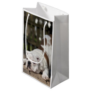 Petit Sac Cadeau Chiot anglais de bouledogue