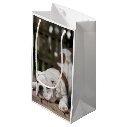 Petit Sac Cadeau Chiot anglais de bouledogue (Devant Angle)