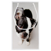 Petit Sac Cadeau Chiot d'Edison Boston Terrier (Dos)