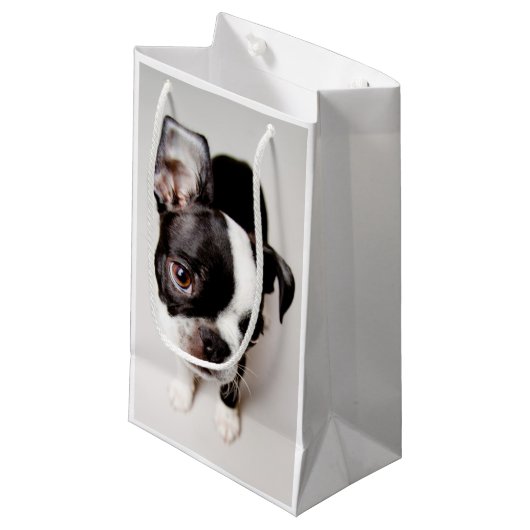 Petit Sac Cadeau Chiot d'Edison Boston Terrier (Devant Angle)