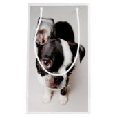 Petit Sac Cadeau Chiot d'Edison Boston Terrier (Devant)