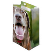 Petit Sac Cadeau Chocolat Lab Chien (Devant Angle)