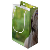 Petit Sac Cadeau Chocolat Lab Chien (Dos Angle)