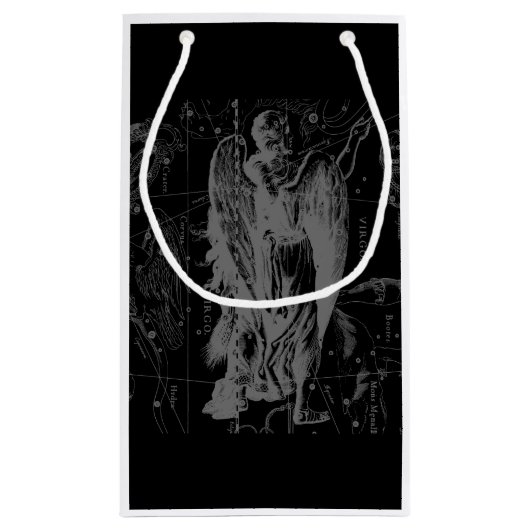 Petit Sac Cadeau Chrome comme Virgo Zodiac Connexion Hevelius (Dos)