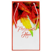 Petit Sac Cadeau Chute de l'automne feuille d'érable élégant rouge (Dos)