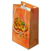 Petit Sac Cadeau Citrouille orange (Dos Angle)