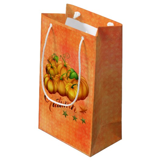 Petit Sac Cadeau Citrouille orange (Dos Angle)