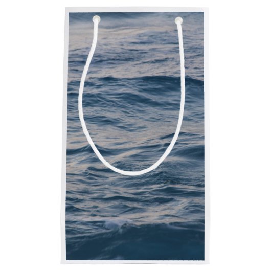 Petit Sac Cadeau Closeuse d'eau de mer (Devant)