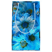 Petit Sac Cadeau Collaert (Devant)