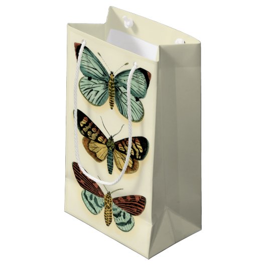 Petit Sac Cadeau Collection Papillons par Chariklia Zarris (Devant Angle)