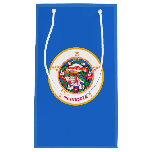 Petit Sac Cadeau Conception du drapeau de l'État du Minnesota (Devant)