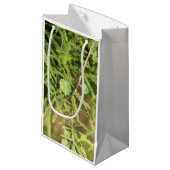 Petit Sac Cadeau Cône de semences Bald Cypress (Devant Angle)