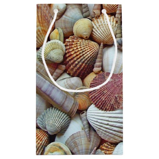 Petit Sac Cadeau Coques de mer (Dos)