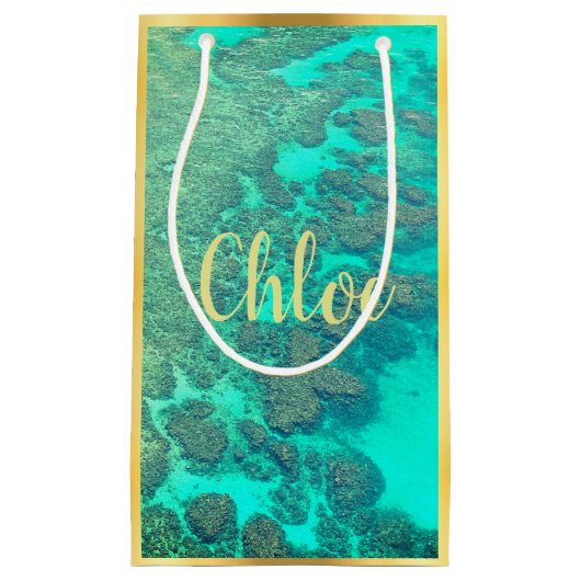 Petit Sac Cadeau Coral reef turquoise ocean water (Devant)