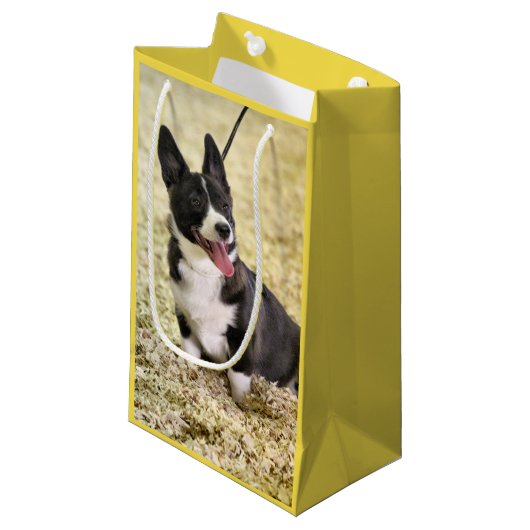 Petit Sac Cadeau Corgi (Devant Angle)