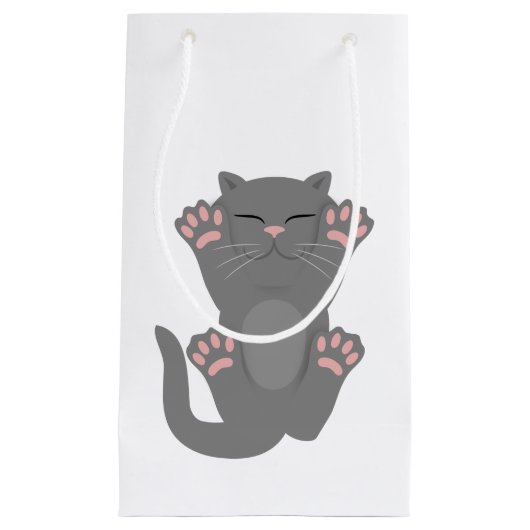 Petit Sac Cadeau Couchage de chat (Devant)