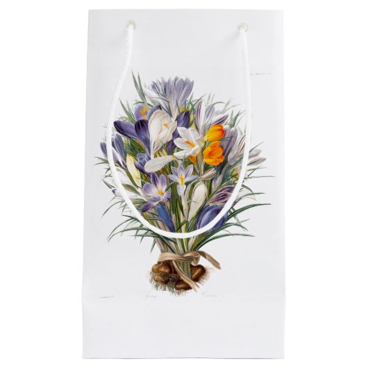 Petit Sac Cadeau Crocus Spring Flower Botanique Floral Art (Devant)