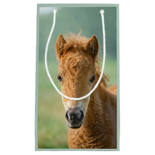 Petit Sac Cadeau Cute Shetland Pony Foal Horse Head Photo frontale 