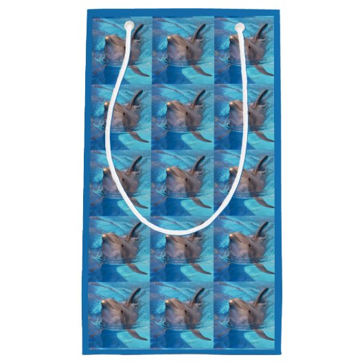 Petit Sac Cadeau Dauphin à bec (Devant)