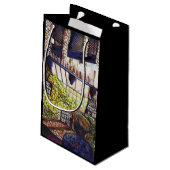 Petit Sac Cadeau Dimensions de curiosité (Dos Angle)