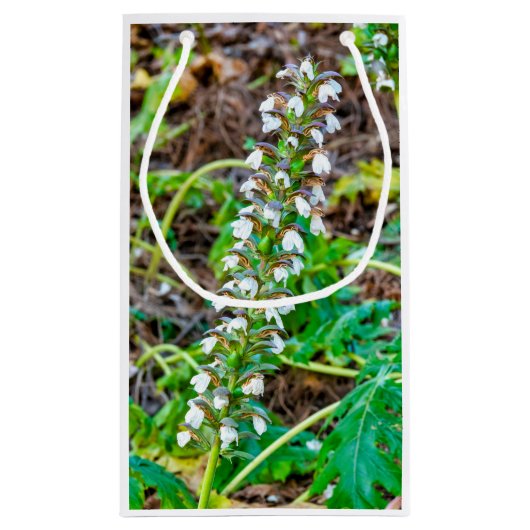 Petit Sac Cadeau Discours de l'ours (Dos)