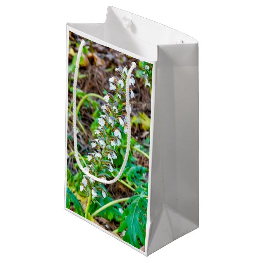 Petit Sac Cadeau Discours de l'ours (Devant Angle)