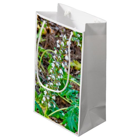 Petit Sac Cadeau Discours de l'ours (Dos Angle)