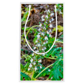 Petit Sac Cadeau Discours de l'ours (Devant)