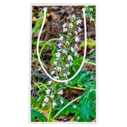 Petit Sac Cadeau Discours de l'ours (Devant)