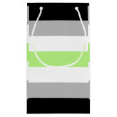 Petit Sac Cadeau Drapeau de fierté agender (Dos)