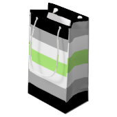 Petit Sac Cadeau Drapeau de fierté agender (Dos Angle)