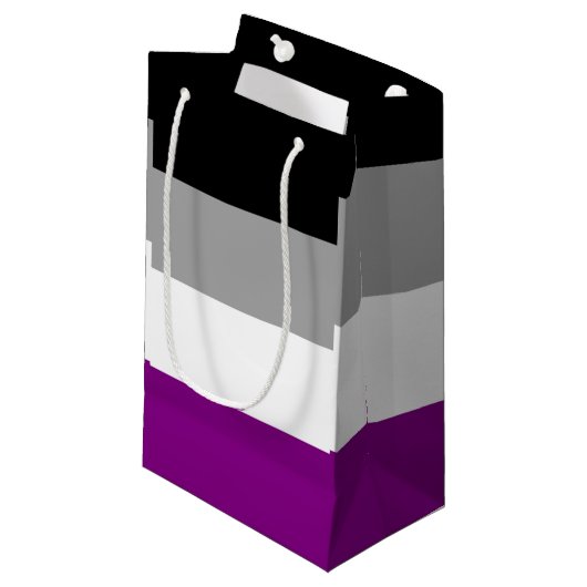 Petit Sac Cadeau Drapeau de fierté asexué (Devant Angle)