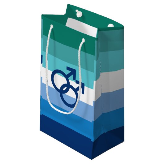 Petit Sac Cadeau Drapeau de fierté gay MLM (Devant Angle)