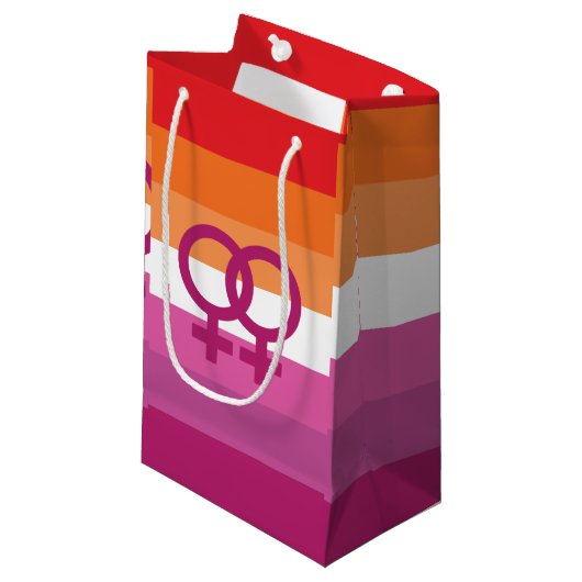 Petit Sac Cadeau Drapeau de fierté lesbienne WLW (Devant Angle)