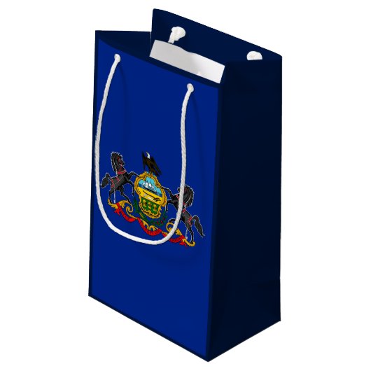 Petit Sac Cadeau Drapeau d'État de Pennsylvanie (Dos Angle)