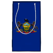 Petit Sac Cadeau Drapeau d'État de Pennsylvanie (Devant)