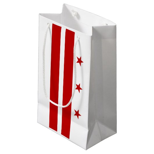 Petit Sac Cadeau Drapeau Washington DC (Devant Angle)