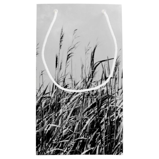 Petit Sac Cadeau Dune Triptyque III (Dos)