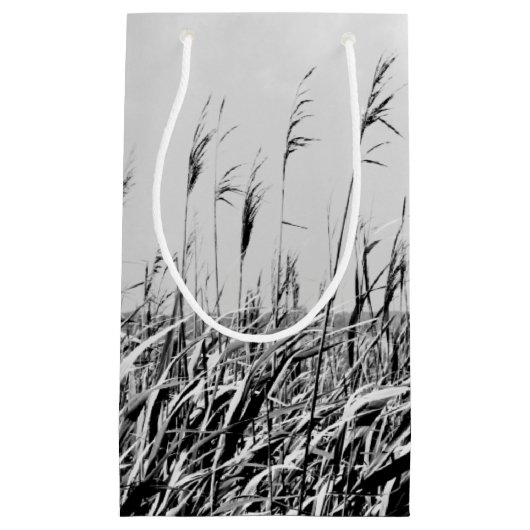 Petit Sac Cadeau Dune Triptyque III (Devant)