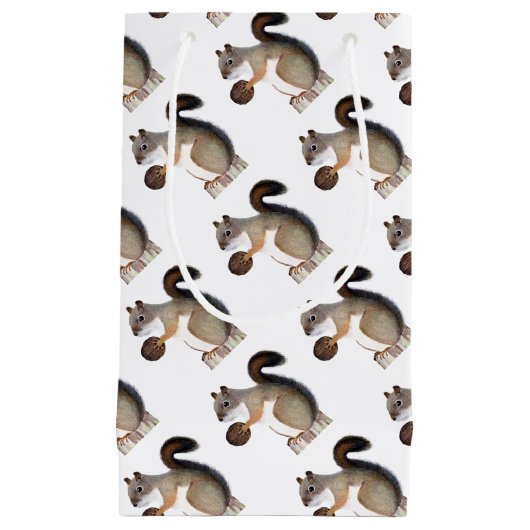 Petit Sac Cadeau Écureuil (Devant)